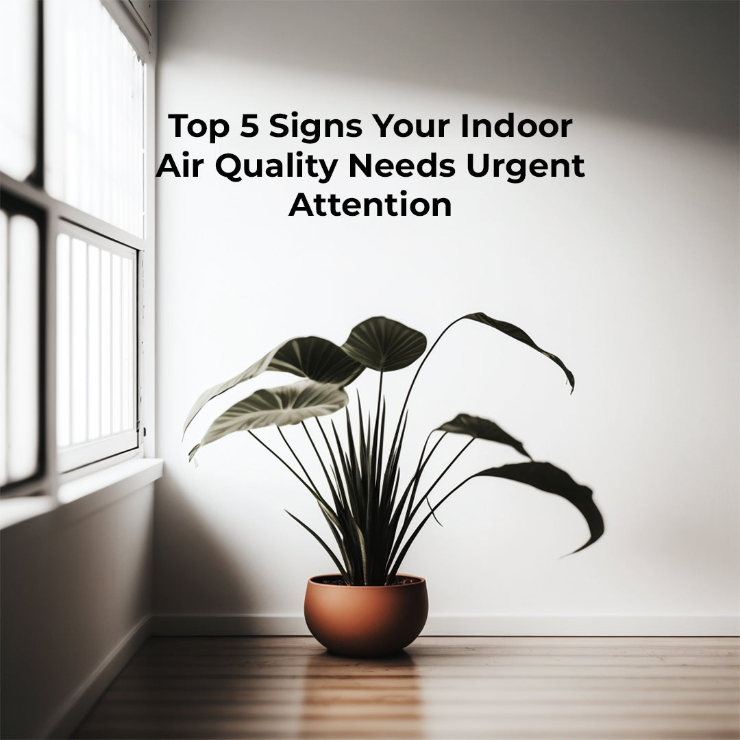 Top 5 Signs Your Indoor Air Quality Needs Urgent Attention