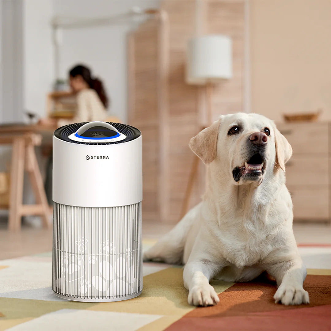 Sterra Paws™ Pet Air Purifier